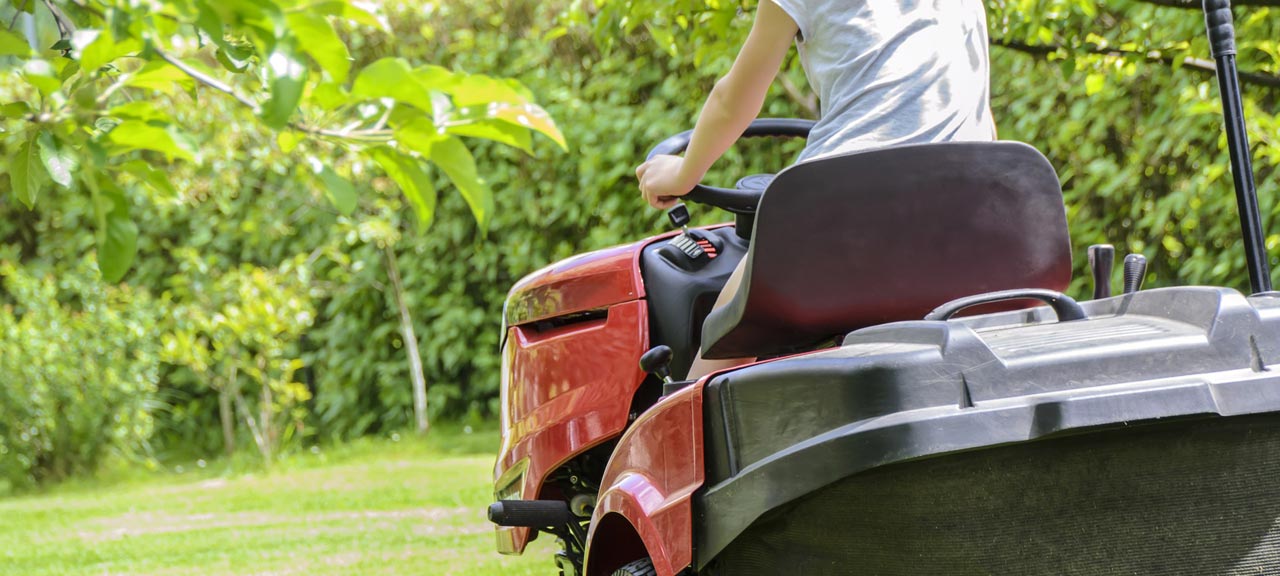entretien jardin pornic paysagiste 44