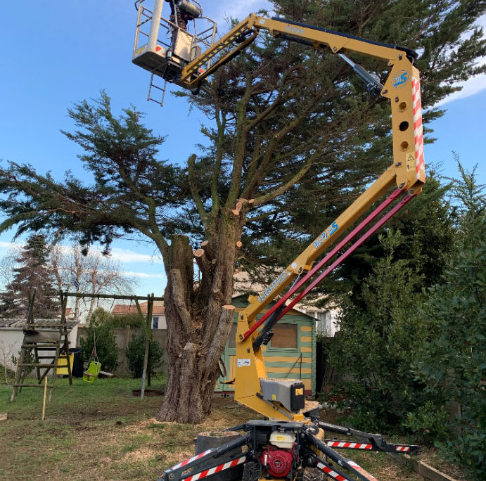 Paysagiste La Plaine sur Mer - entretien des arbres avec nacelle