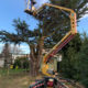 Paysagiste La Plaine sur Mer - entretien des arbres avec nacelle