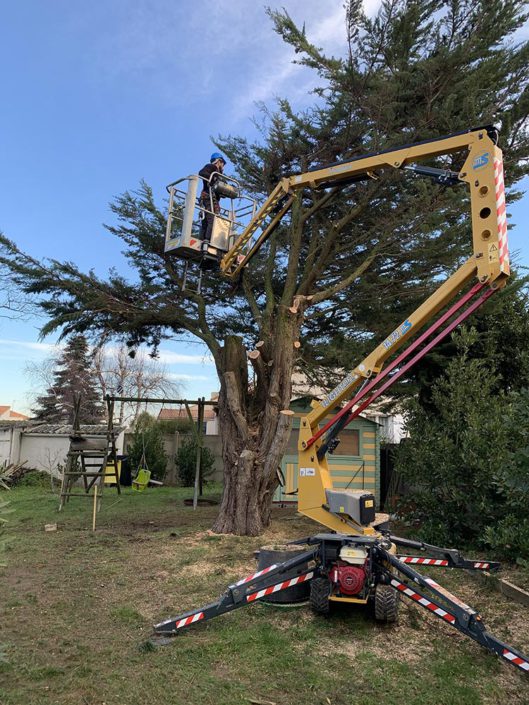 Entretien jardin Pornic élagage La Plaine sur Mer déduction d'impôts jardinier paysagiste