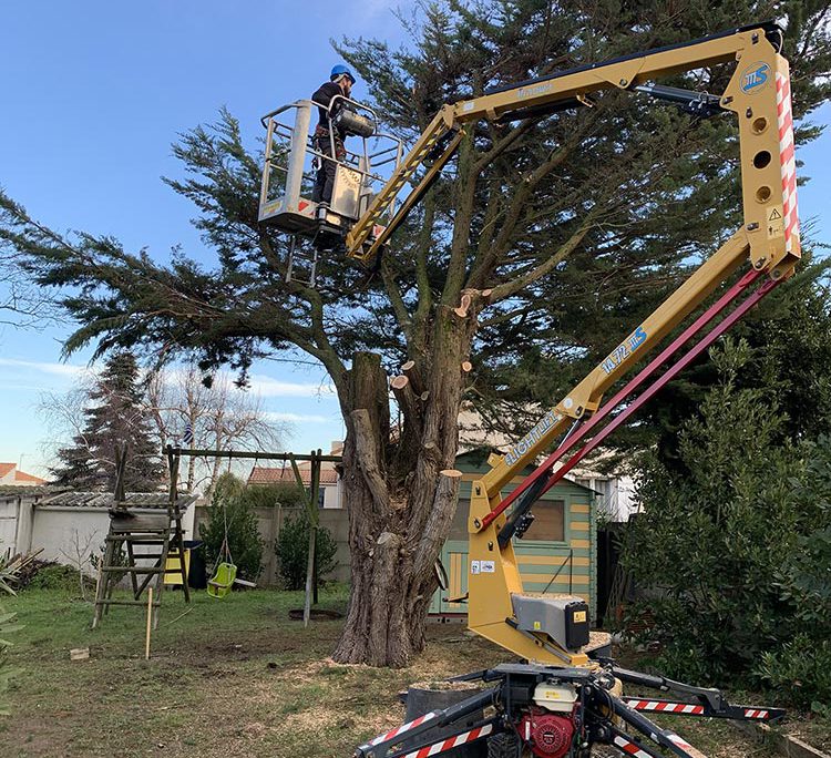 Entretien jardin Pornic élagage La Plaine sur Mer déduction d'impôts jardinier paysagiste