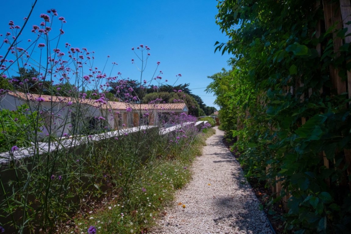 Allée en graviers au milieu de la végétation - Au Jardin des rêves