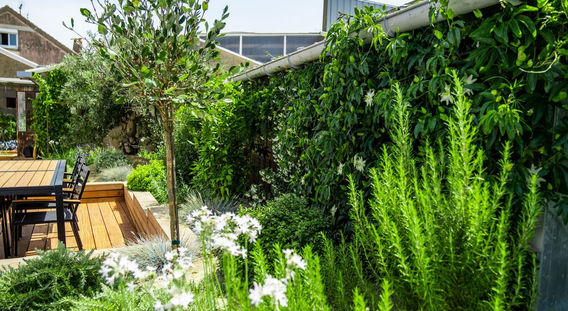 Massis vert et plantes grimpantes
