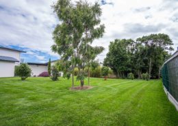 paysagiste La Plaine sur Mer gazon Au Jardin des Rêves