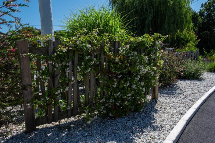 Paysagiste Pornic Brise Vue végétal - Au Jardin des Rêves