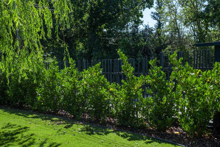 Pornic Paysagiste Clôture haie - Au Jardin des Rêves