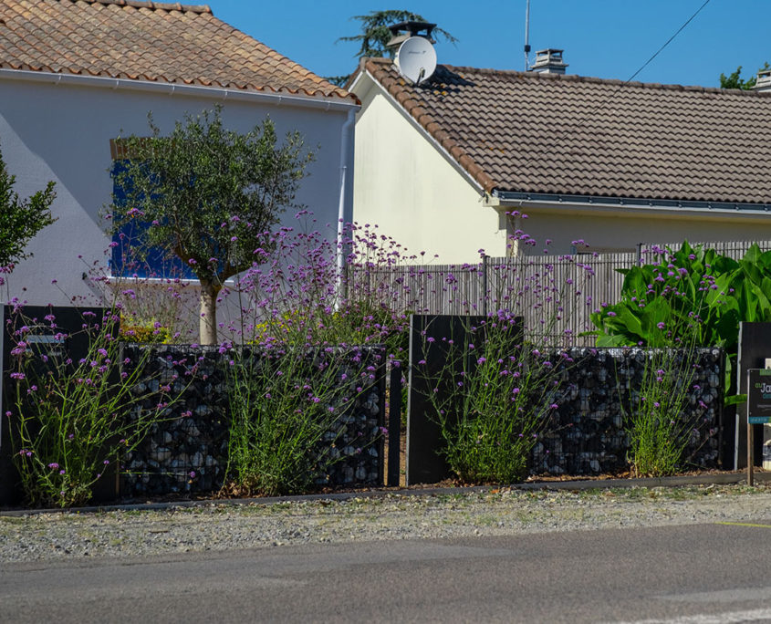 cloture pornic gabion ardoises verveine de buenos aires