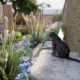 Aménagement extérieur pornic plan 3d point d'eau jardin bucolique et chat