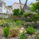 Jardin luxuriant St Brévin les Pins - paysagiste, vue sur mer : Au jardin des reves