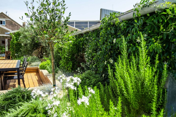 Jardin de reve luxuriant, paysagiste pornic, au jardin des reves