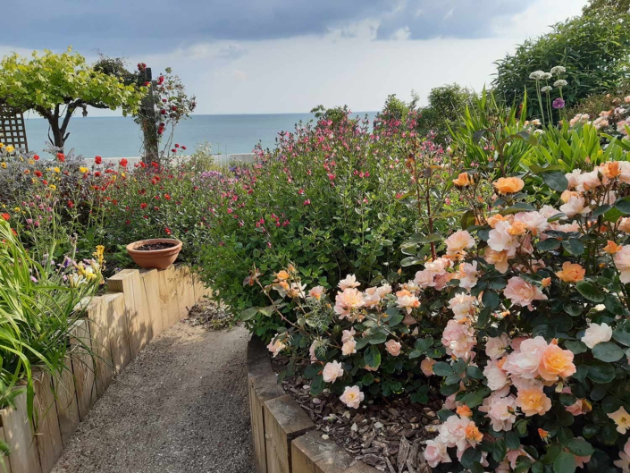 Au Jardin des Rêves, allée traverses bois et plantations 44