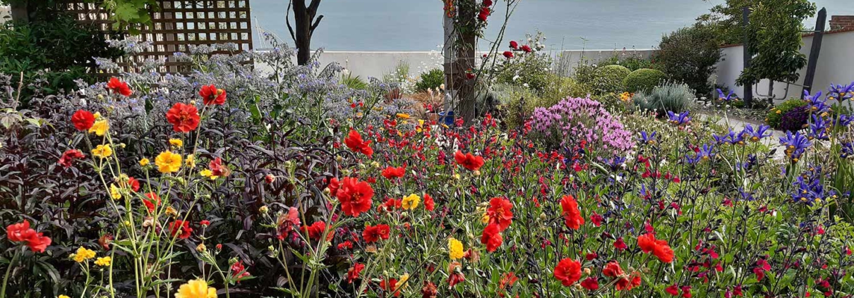 Pornic création jardin coloré Au Jardin des Rêves