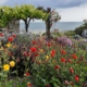 Pornic création jardin coloré Au Jardin des Rêves