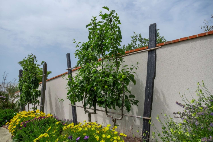 Pornic paysagiste support végétal plante grimpante Jardin des rêves