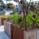 carré potager pornic paysagiste au jardin des reves