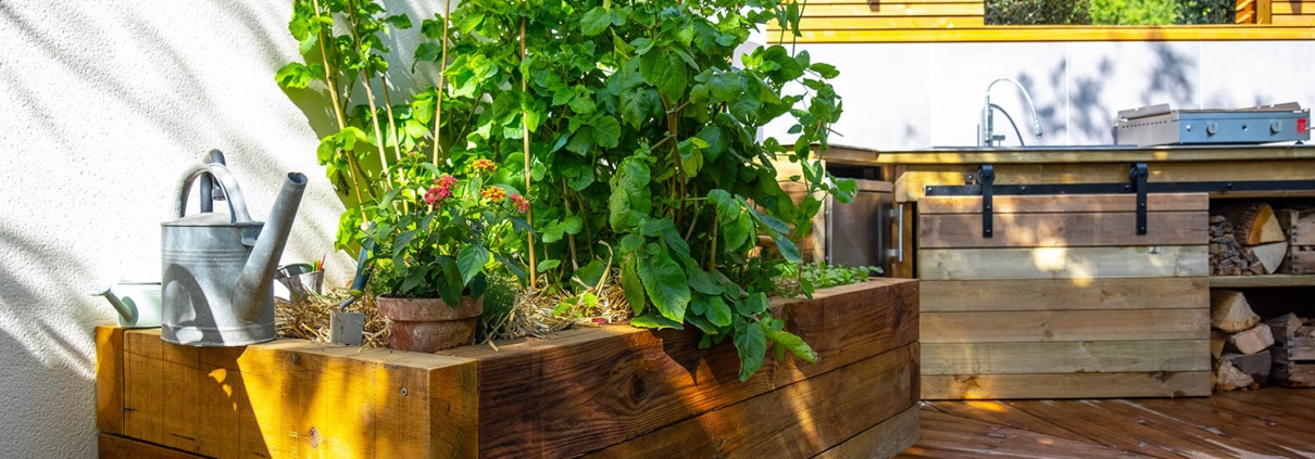 cuisine ete pornic carre potager au jardin des reves