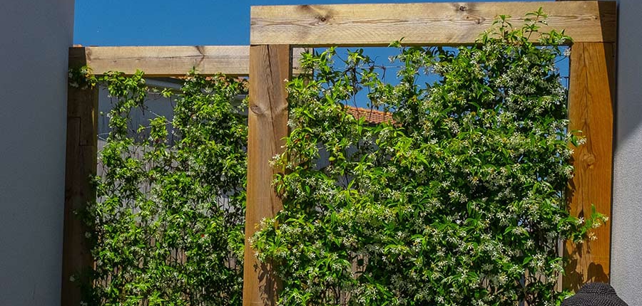 Séparation voisin brise-vue ganivelle châtaignier Pornic au jardin des Rêves, brise-vue en hiver