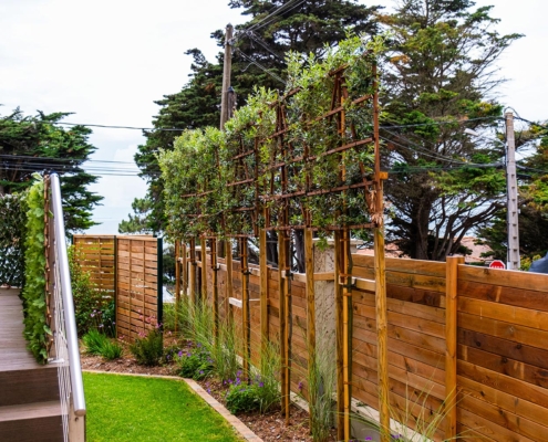 Pornic Brise-vue chêne vert palissé - Au Jardin des Rêves