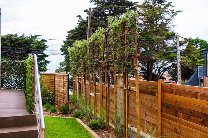 Pornic Brise-vue chêne vert palissé - Au Jardin des Rêves