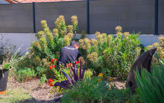 Entretien de jardin dans un massif fleuri. Sensé représenter l'entretien selon les saisons. Création de jardin de reve, par au jardin des reves, paysagiste la plaine sur mer, paysagiste pornic, Saint brevin les pins, la bernerie, saint michel chef chef, préfailles.