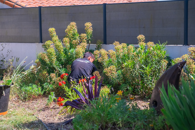 Entretien de jardin dans un massif fleuri. Sensé représenter l'entretien selon les saisons. Création de jardin de reve, par au jardin des reves, paysagiste la plaine sur mer, paysagiste pornic, Saint brevin les pins, la bernerie, saint michel chef chef, préfailles.