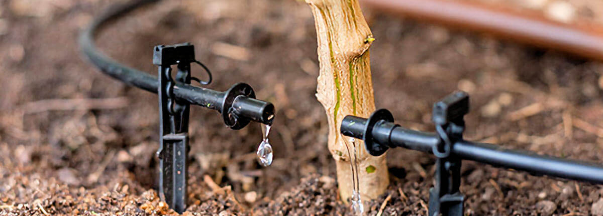 irrigation goutte-à-goutte, Création de jardin de reve, par au jardin des reves, paysagiste la plaine sur mer, paysagiste Pornic. saint brevin les pins, la bernerie, saint michel chef chef, préfailles.