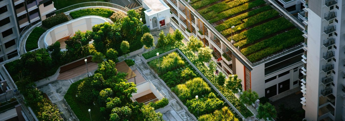 jardins urbains. Au Jardin des reves, paysagiste pornic, paysagiste la plaine sur mer.