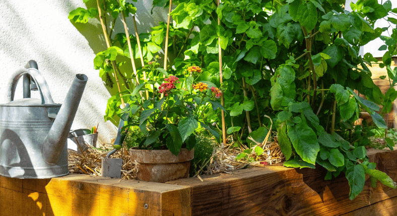 cuisine ete pornic carre potager au jardin des reves
