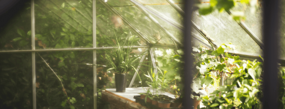 Serre potager intérieur eco conception et bio materiaux au jardin des reves
