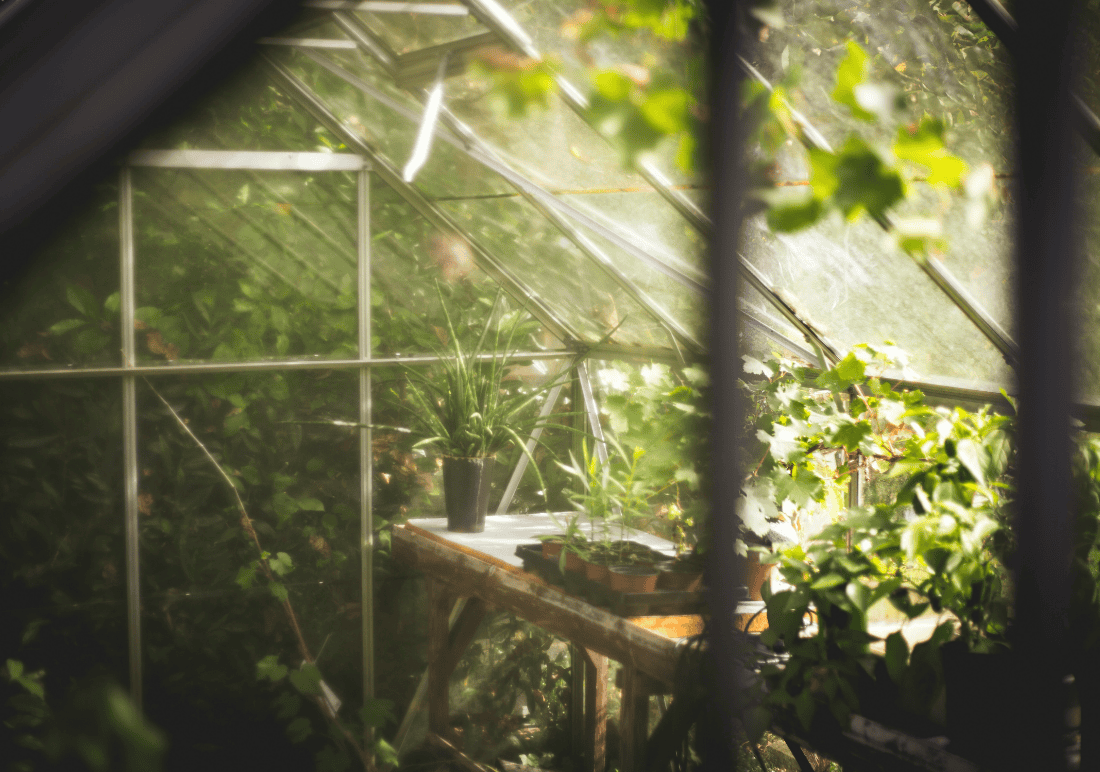 Serre potager intérieur eco conception et bio materiaux au jardin des reves