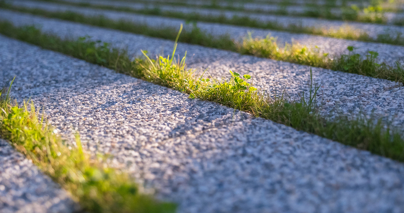 pavés drainants