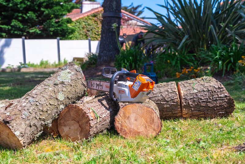 Entretien de jardin au jardin des reves paysagiste la plaine sur mer pornic