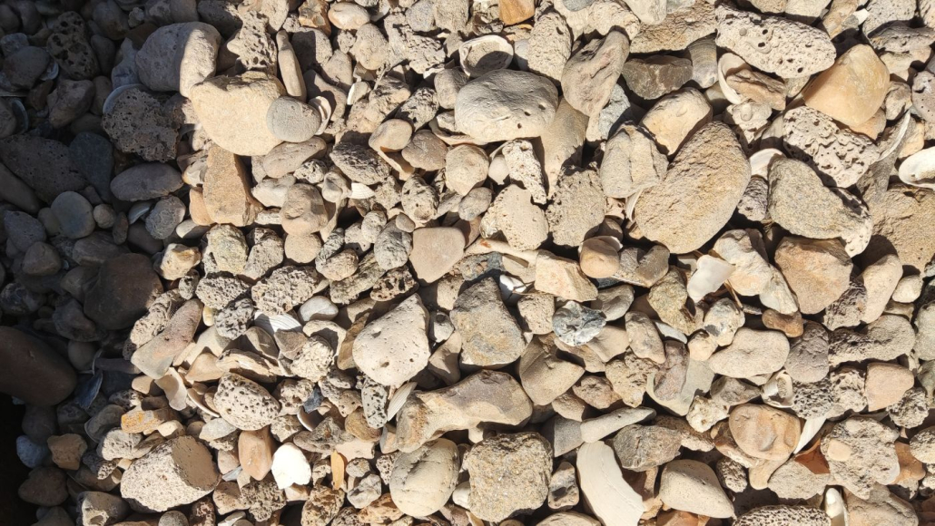 au jardin des rêves, paysagiste pornic