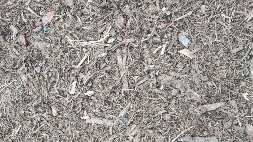 au jardin des rêves, paysagiste pornic