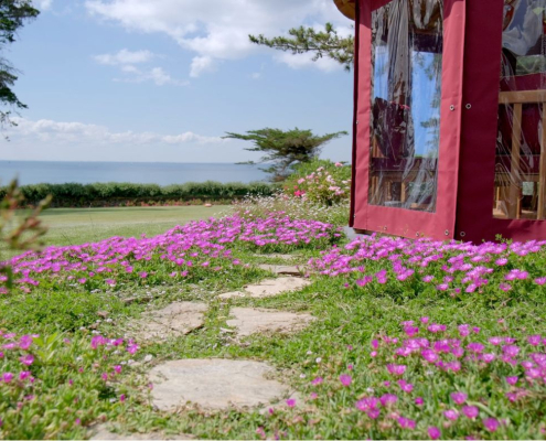Jardin côtier fleuri avec vivaces et couvre-sols – aménagement paysager par Au Jardin des Rêves à Pornic