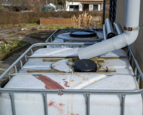 au jardin des rêves, paysagiste pornic