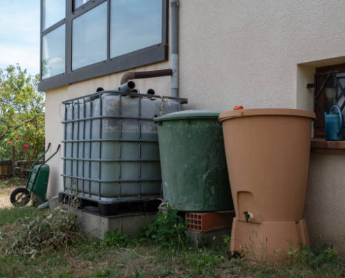 au jardin des rêves, paysagiste pornic