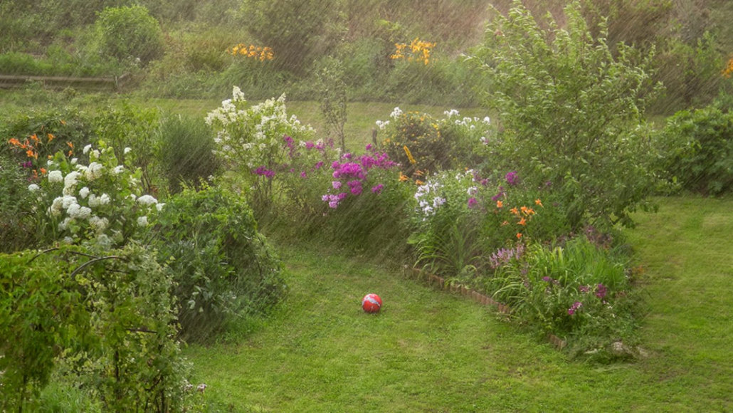 Jardin fleuri sous la pluie – aménagement paysager naturel par Au Jardin des Rêves à Pornic