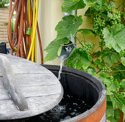 au jardin des rêves, paysagiste pornic