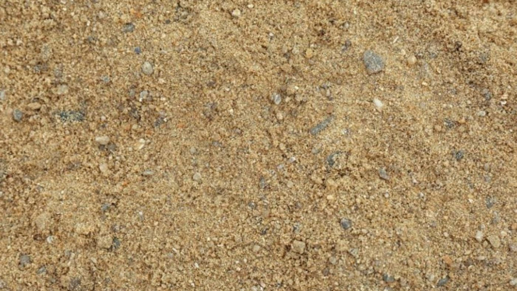 Sol sablonneux typique des jardins en bord de mer – exemple de terrain adapté à une pelouse résistante, par Au Jardin des Rêves à Pornic