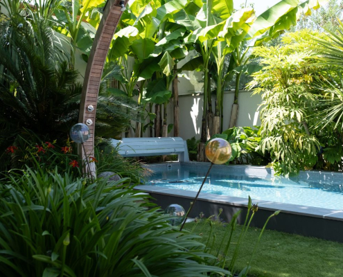 Piscine + massif tropical 2 piscine au jardin des rêves