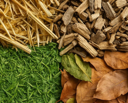 Différents types de paillage naturel pour le jardin – copeaux de bois, feuilles, paille et tonte, par Au Jardin des Rêves à Pornic