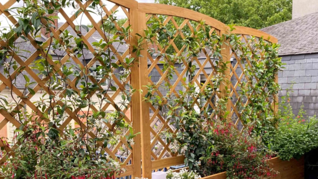 Claustra végétalisé en bois avec plantes grimpantes – création naturelle d’ombrage par Au Jardin des Rêves à Pornic