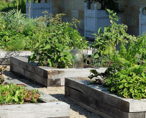 Potager en carrés surélevés en bois dans un jardin structuré Carrés potagers en bois remplis de légumes et aromatiques, installés sur un sol gravillonné dans un jardin organisé.