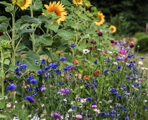 Hanna Wendelbo Design