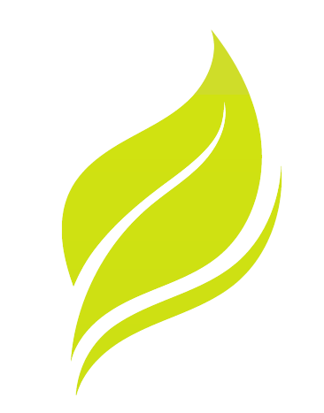 Icône feuilles, plantes indigènes