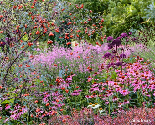 téléchargement (9)
