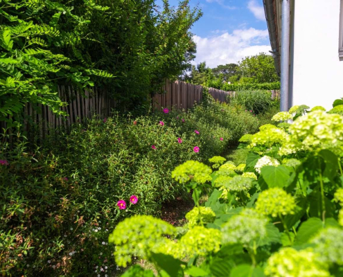 Haie champêtre et massifs fleuris composés de plantes vivaces et arbustes favorisant la biodiversité, dans un jardin éco-conçu autour d’une habitation.