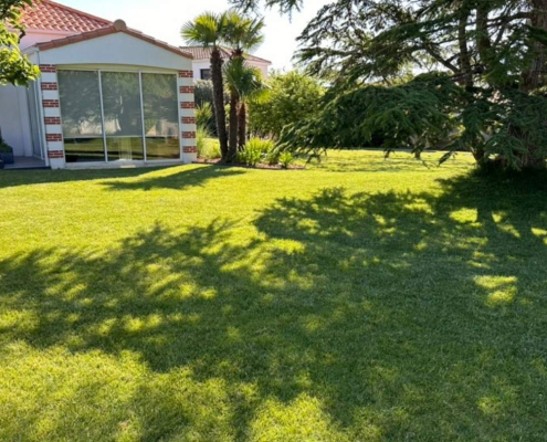 Pelouse verdoyante avec arbres apportant de l’ombre devant une maison individuelle.
